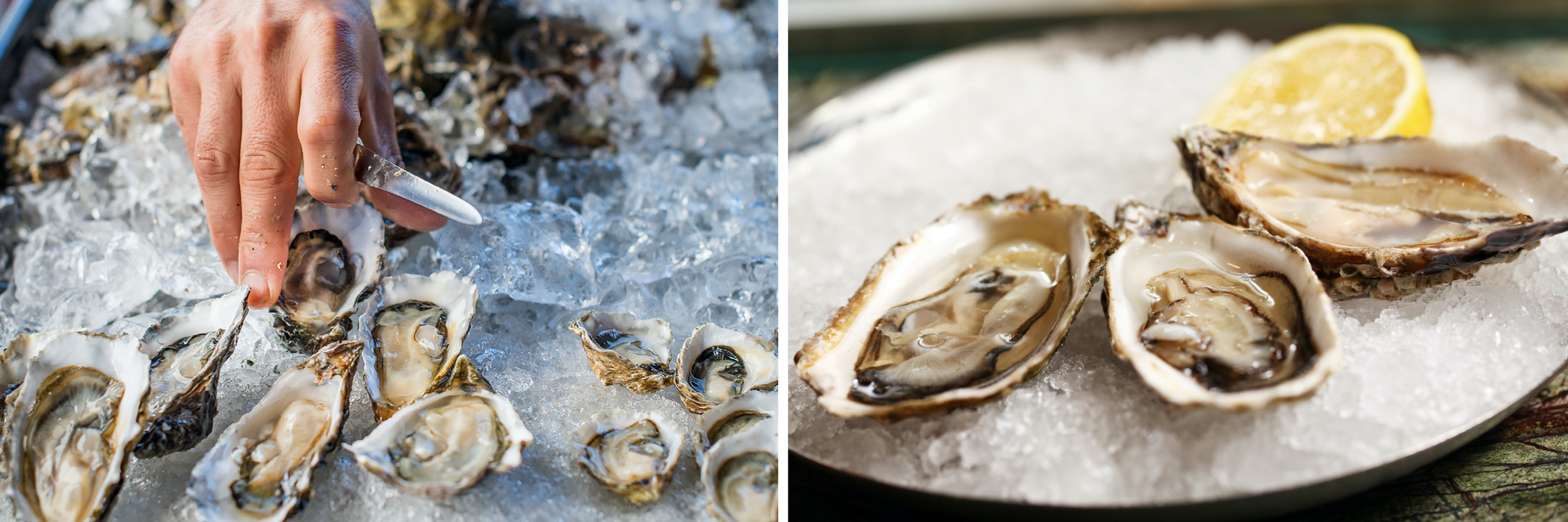 shelterislandseafood_home5.png