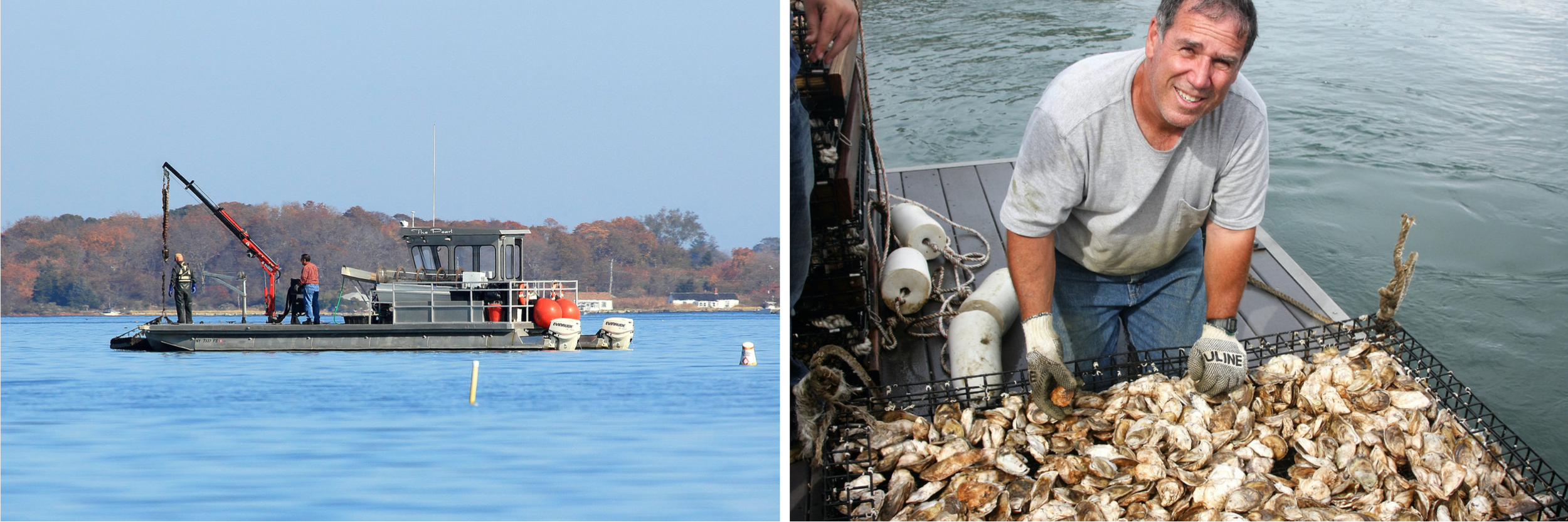 shelterislandseafood_home6.png