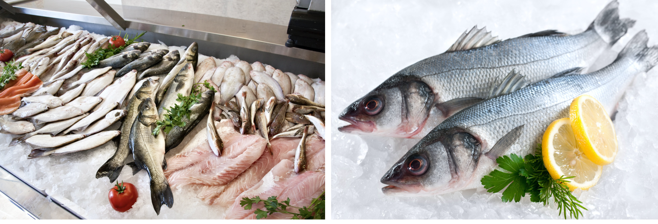 shelterislandseafood_home2.png