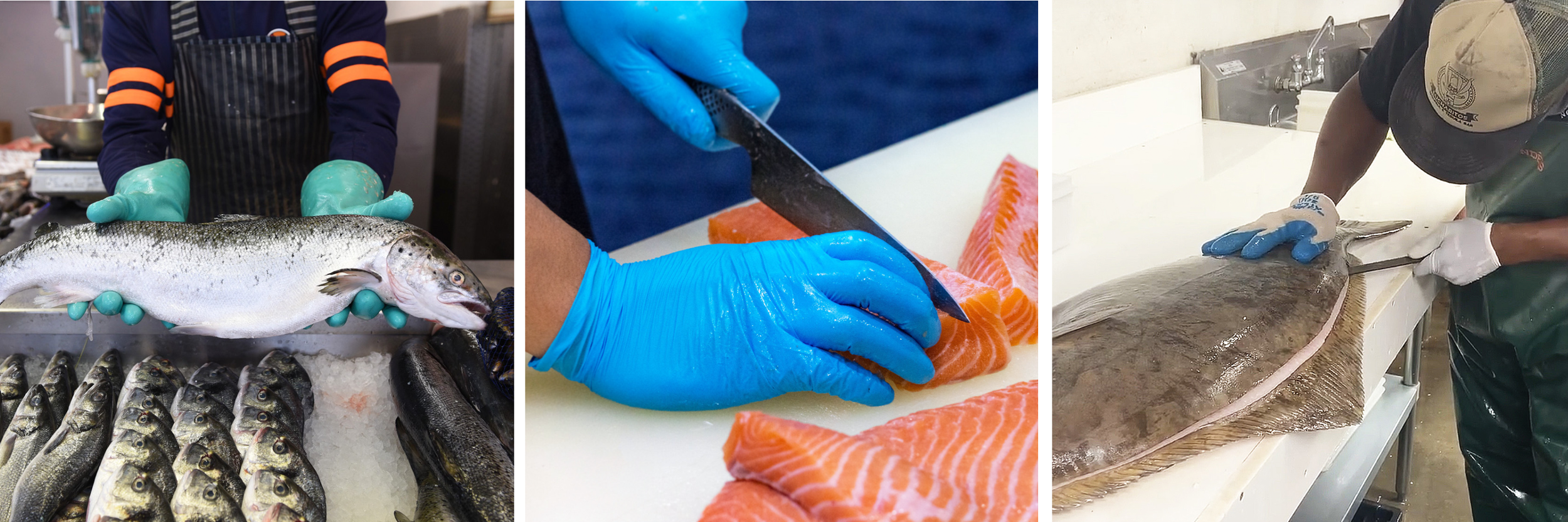 shelterislandseafood_home3.png